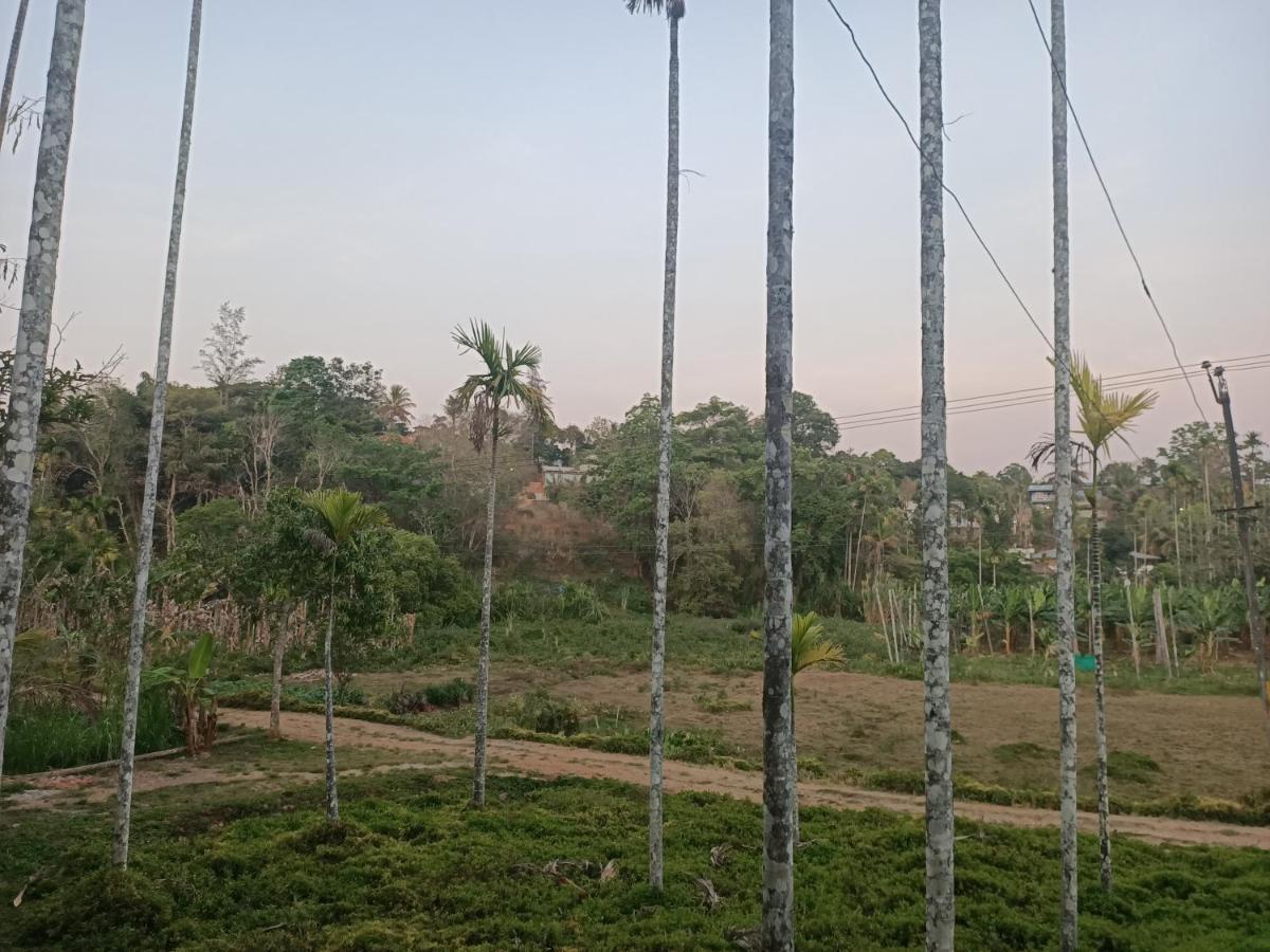 Bethel Service Villa, Mananthavady, Wayanad Exterior photo